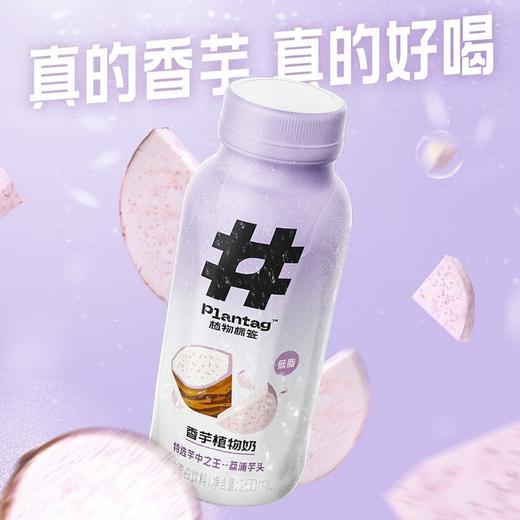 植物标签香芋植物奶250ml 商品图1