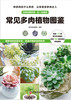 常见多肉植物图鉴 商品缩略图1