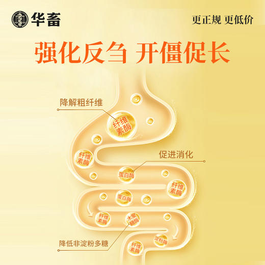 华畜瘤胃宝健胃开胃动力牛羊胀气反刍过料催肥增重开胃饲料添加剂 商品图1