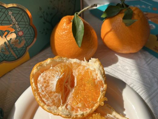 高山树上熟大雅柑礼盒装 商品图1