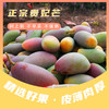 【新鲜上市 现摘现发】海南三亚树上熟贵妃芒 5斤礼盒装 ZB 商品缩略图3