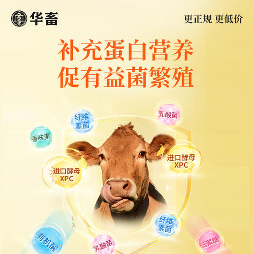 华畜瘤胃宝健胃开胃动力牛羊胀气反刍过料催肥增重开胃饲料添加剂 商品图2