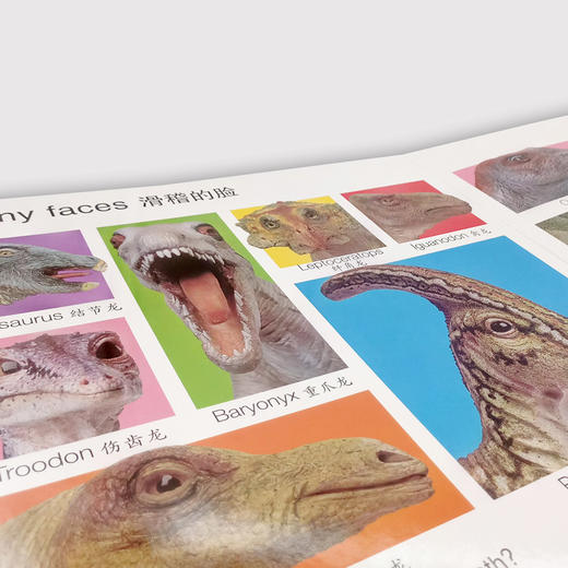 【童立方】大大的启蒙书：大大的恐龙书 0-6岁纸板翻翻书 商品图3