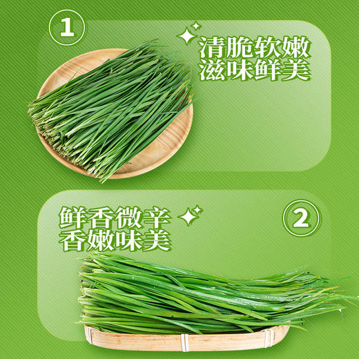 新鲜蔬菜 韭菜500g 商品图2