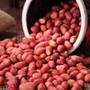 【农人匠心！吉林红皮花生米】产地直供，每一颗都是精挑细选！红润脆香，四粒红五红汤原料五谷杂粮粗粮真空包装红皮花生仁健康特价清仓 商品缩略图1