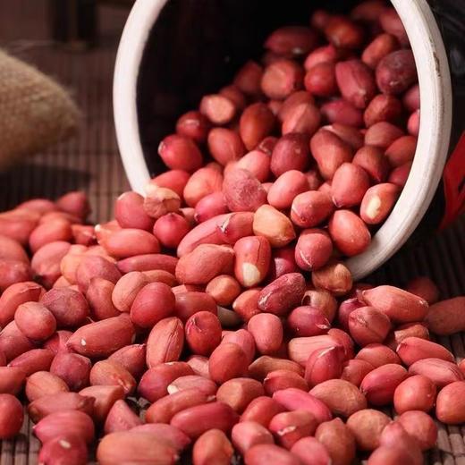 【农人匠心！吉林红皮花生米】产地直供，每一颗都是精挑细选！红润脆香，四粒红五红汤原料五谷杂粮粗粮真空包装红皮花生仁健康特价清仓 商品图1