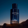 Dior迪奥Sauvage迪奥旷野男士香水100ml 经典淡香香氛EDT 商品缩略图4