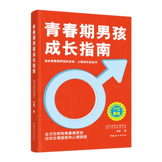 青春期男孩成长指南  白璐著 商品图0