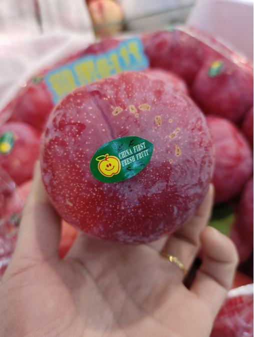 澳洲钻石红李子一斤（拼团） 商品图0