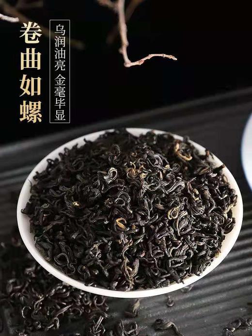 天之红°祁红香螺 特一级单罐72g 商品图2