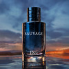 Dior迪奥Sauvage迪奥旷野男士香水100ml 经典淡香香氛EDT 商品缩略图2