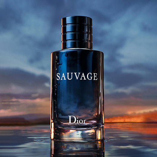 Dior迪奥Sauvage迪奥旷野男士香水100ml 经典淡香香氛EDT 商品图2