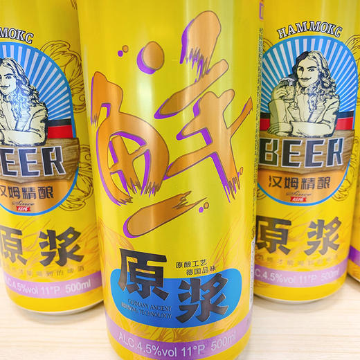 汉姆精酿原浆啤酒500ml 商品图1
