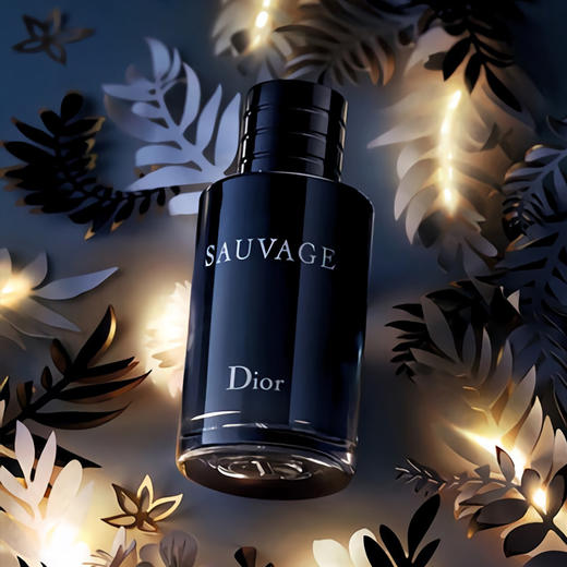 Dior迪奥Sauvage迪奥旷野男士香水100ml 经典淡香香氛EDT 商品图3