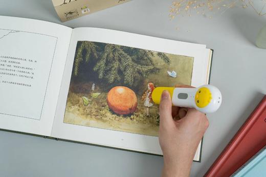 【点读版 礼盒装】《艾莎贝斯克百年经典绘本》全3册 精装 商品图7