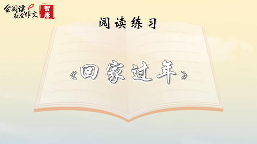 阅读练习：《回家过年》 商品图0