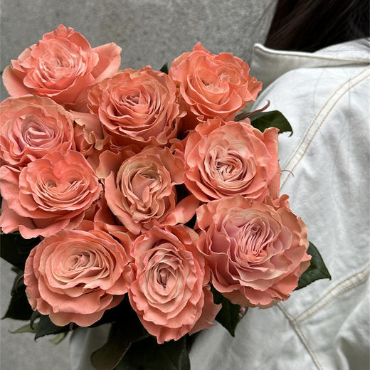 预定厄瓜多尔进口染色Pink ballet 粉红芭蕾玫瑰10支 商品图2