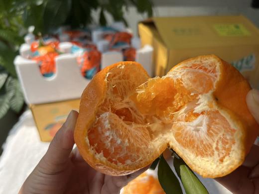 高山树上熟大雅柑礼盒装 商品图4