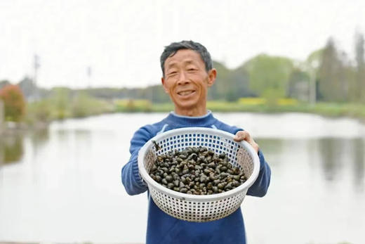 【社区团购】芙蓉螺蛳1000g/包 商品图1