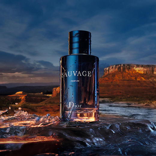 Dior迪奥Sauvage迪奥旷野男士香水100ml 经典淡香香氛EDT 商品图1