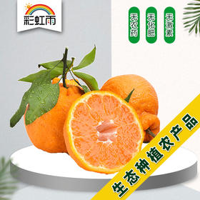 生态不知火丑橘450g甜蜜多汁京津冀满百包邮