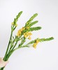 圣心百合  橙色   5枝/扎 商品缩略图3