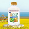 青海湖高原娟姗鲜牛奶500ml 商品缩略图0