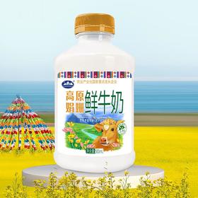青海湖高原娟姗鲜牛奶500ml