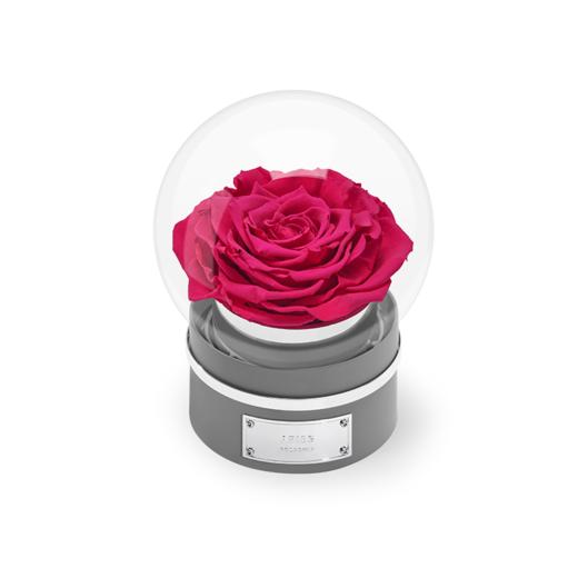 【音乐圆罩】ROSEONLY诺誓 永生玫瑰-音乐系列 悦慕马 十二星座音乐球玫瑰公仔 甜心兔熊猫公仔音乐球礼盒 送女友节日礼物 商品图11