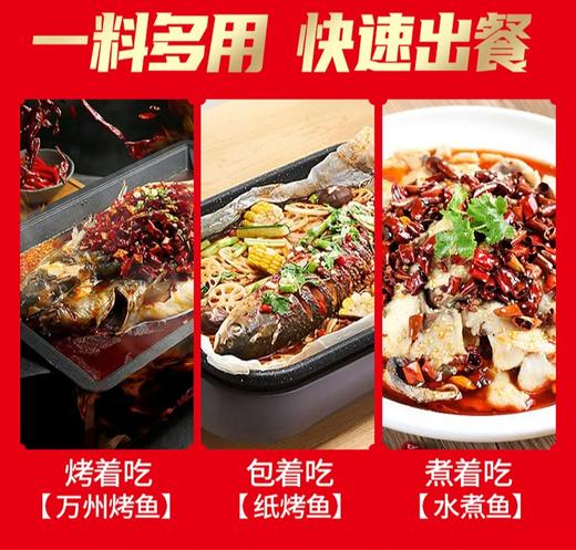 【试用装】烤鱼调料试用装 商品图2