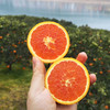 橙色星球 能量血橙 商品缩略图4
