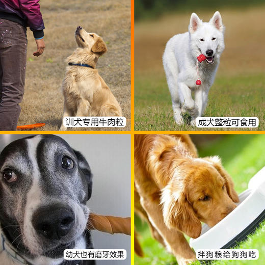 亚禾牛肉粒100g袋装 狗狗磨牙洁齿零食 训犬奖励 商品图1