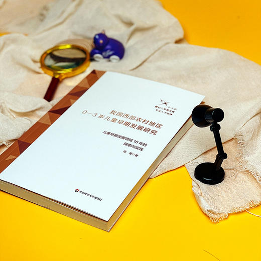 我国西部农村地区0-3岁儿童早期发展研究 儿童早期发展领域10年的探索与实践 商品图3