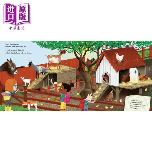 【中商原版】Look What I Found on the Farm看看我在农场发现 商品图2