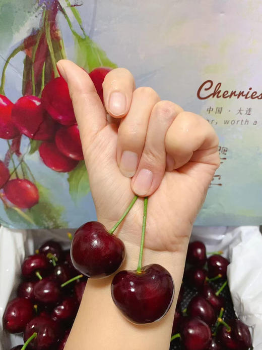 【现摘现发】当季2026大连树熟（美早）樱桃 新鲜 健康 多汁 顺丰空运 商品图4