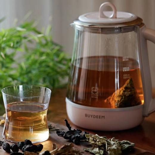 莱甘茶 | 独立茶包丨10袋/盒 商品图1