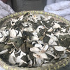 青皮 四花青皮  青皮丝   新货 商品缩略图1