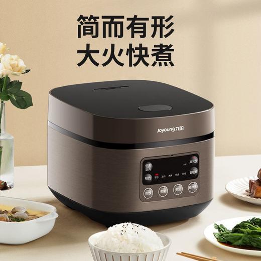 九阳电饭煲F30FZ-F4170 商品图1