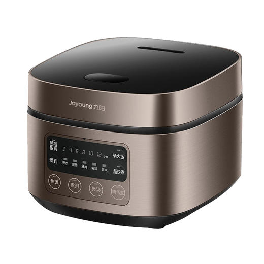 九阳电饭煲F30FZ-F4170 商品图0