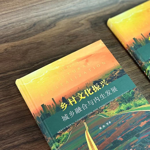 乡村文化振兴：城乡融合与内生发展 林拓 等著 商务印书馆 商品图1