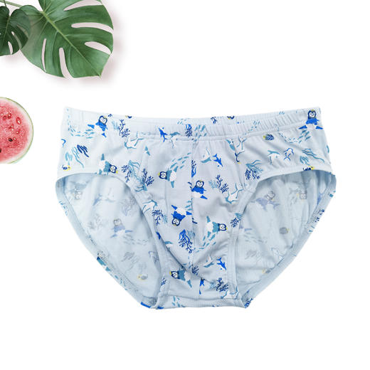 SCHIESSER德国舒雅男童莫代尔平角小裤3B/20843S 商品图0