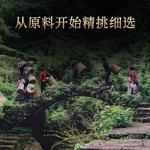 【老品牌 原产地 好口碑】桃渊茗 随饮 肉桂 60泡/盒 共510g/盒 礼盒装 商品图1