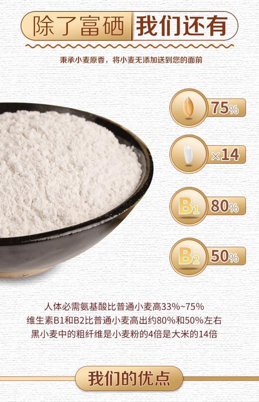 【包邮】富硒黑小麦面粉10斤装 商品图2