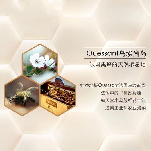 Guerlain娇兰 帝皇蜂姿柔润晚霜面霜50ml 商品图2