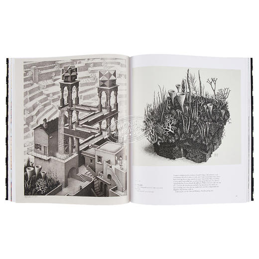 【中商原版】埃舍尔的魔力 英文原版 The Magic of M.C.Escher Locher Thames and Hudson 商品图8