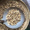菊苣 商品缩略图4