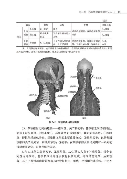 颈椎病 常见病针灸临床丛书 李晗主编 针灸治疗颈椎病临床经验疗效特点 日常防护指导锻炼 中医学9787521437089中国医药科技出版社 商品图3