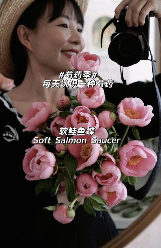 【预售！4.20起陆续发出】鲑鱼蝶【疲惫的生活要有一些温柔的梦想，比如拥抱还在身边的你】简小姐精选 稀有进口品种鲑鱼色 单瓣芍药 鲑鱼蝶 2件包邮 顺丰空运直发 商品图3