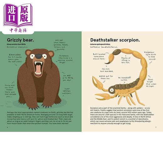 【中商原版】Philip Bunting The Worlds Most Atrocious Animals世界上残暴的动物 英文原版进口图书儿童科普绘本动物百科 商品图1