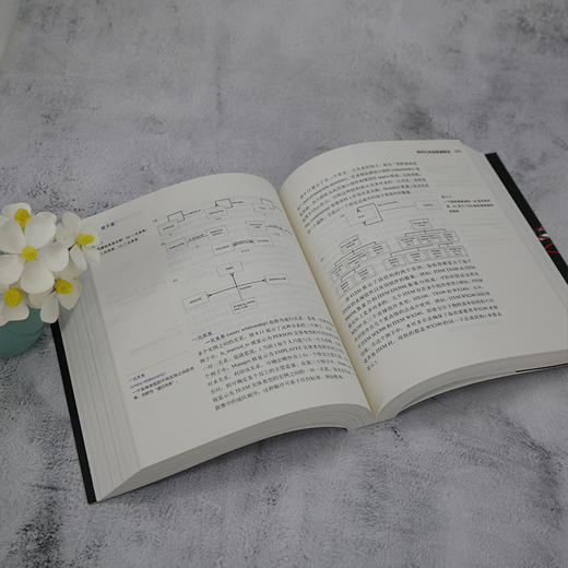 系统分析与设计(第9版)  商品图1